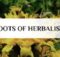 Herbalism refers to folk and traditional medicinal practice based on the use of plants and plant extracts
