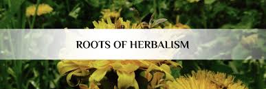 Herbalism refers to folk and traditional medicinal practice based on the use of plants and plant extracts