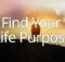 There is no greater gift you can give or receive than to honor your calling. It’s why you were born. And how you become most truly alive