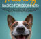 There are so many popular dog training methods