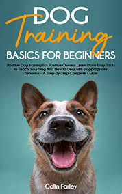 There are so many popular dog training methods