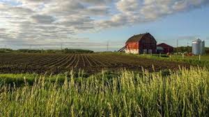 Farmland is one of those assets that Americans cannot live without